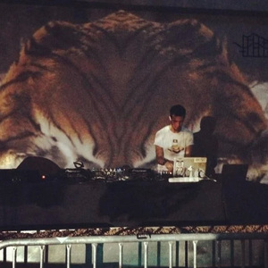 久草免费福利在线
