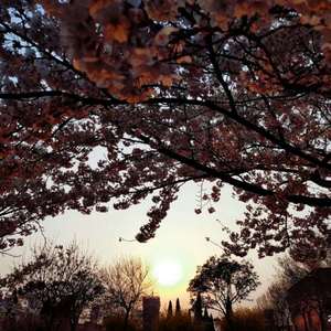 久草免费福利在线
