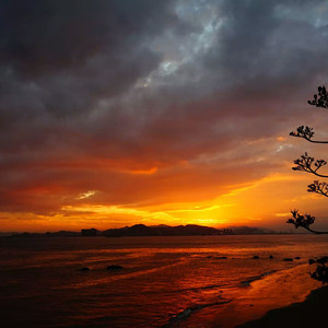 久草免费福利在线
